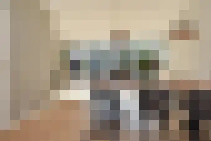 Penningkruid 6 Nootdorp thumbnail 22