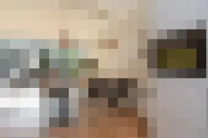 Penningkruid 6 Nootdorp thumbnail 23