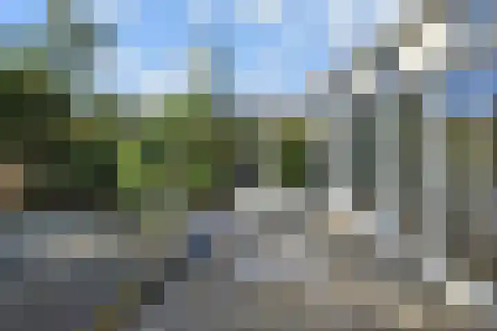 Penningkruid 6 Nootdorp thumbnail 27