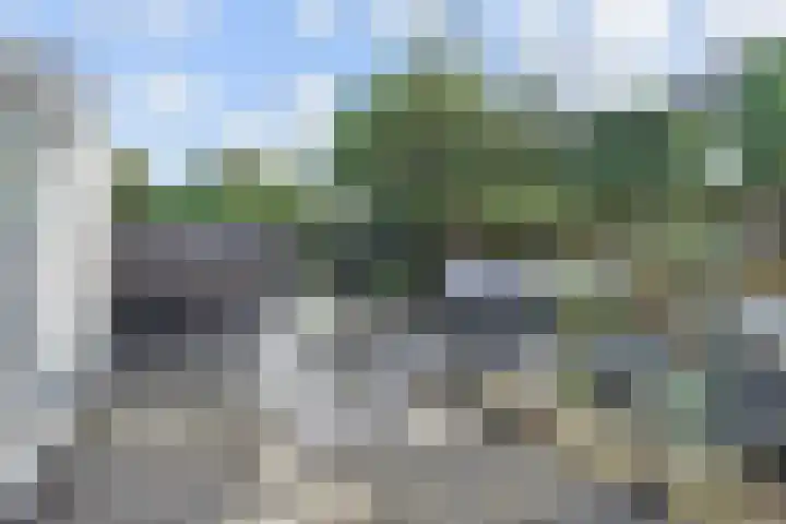 Penningkruid 6 Nootdorp thumbnail 28