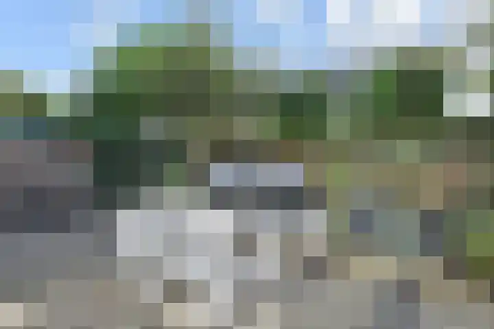 Penningkruid 6 Nootdorp thumbnail 29