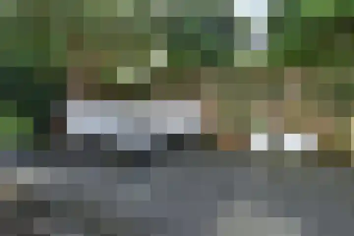 Penningkruid 6 Nootdorp thumbnail 31