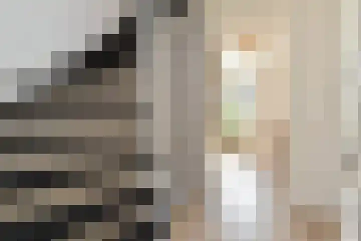 Penningkruid 6 Nootdorp thumbnail 33