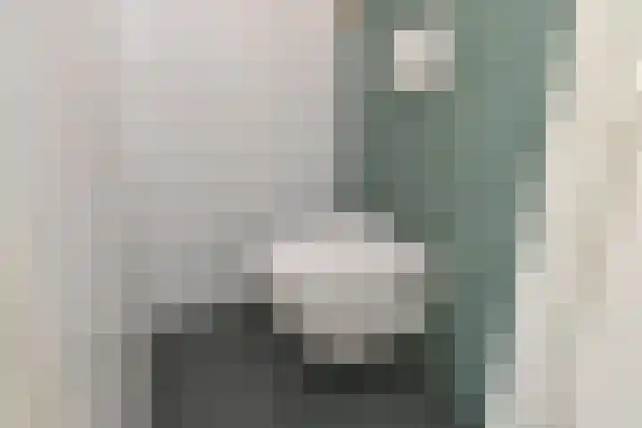 Penningkruid 6 Nootdorp thumbnail 39