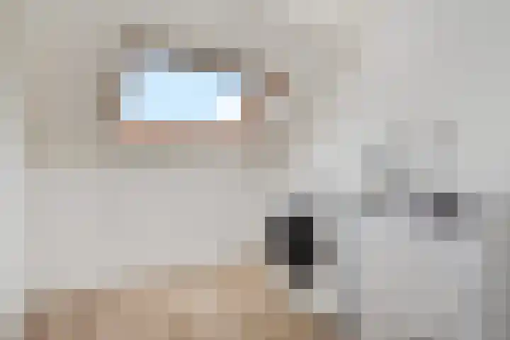 Penningkruid 6 Nootdorp thumbnail 46