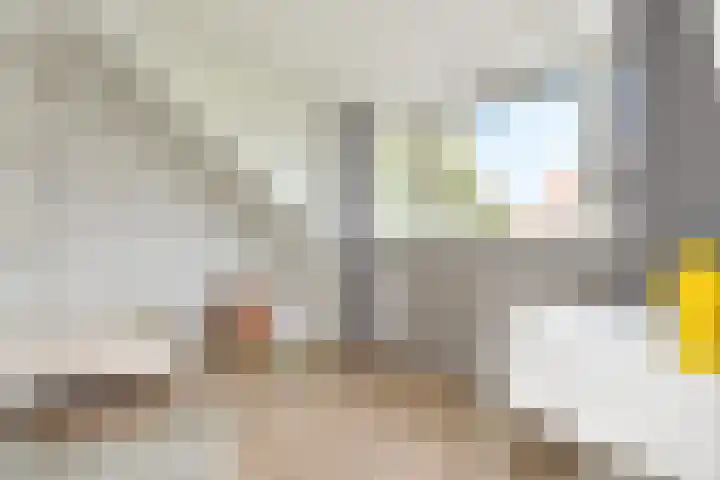 Penningkruid 6 Nootdorp thumbnail 47