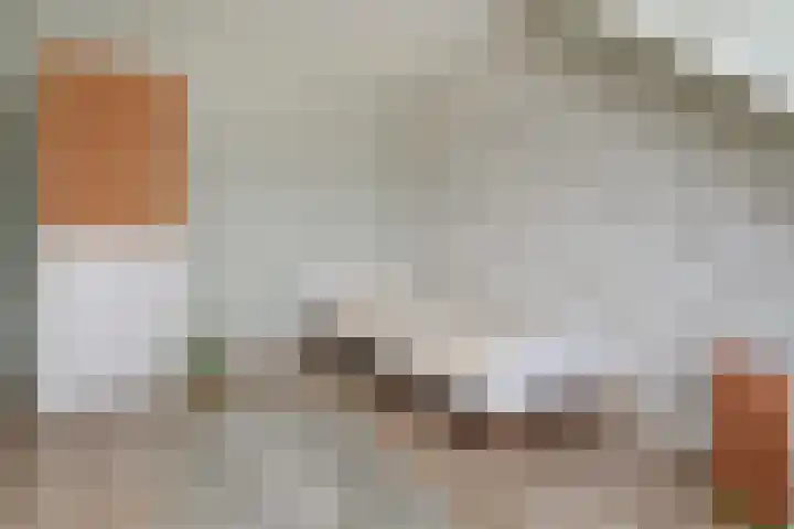 Penningkruid 6 Nootdorp thumbnail 48