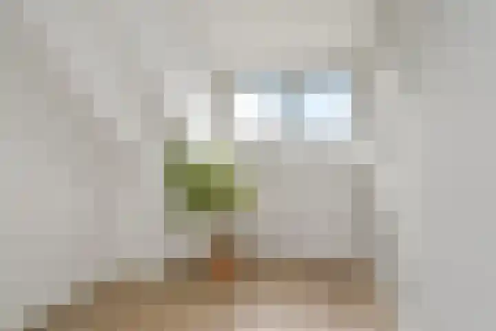 Penningkruid 6 Nootdorp thumbnail 52
