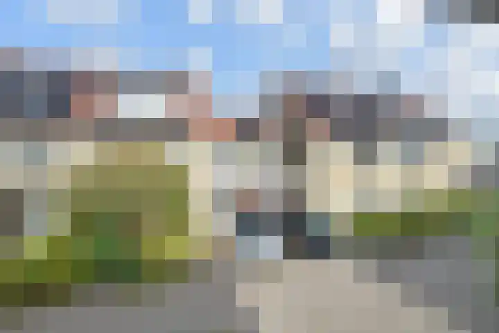 Penningkruid 6 Nootdorp thumbnail 56