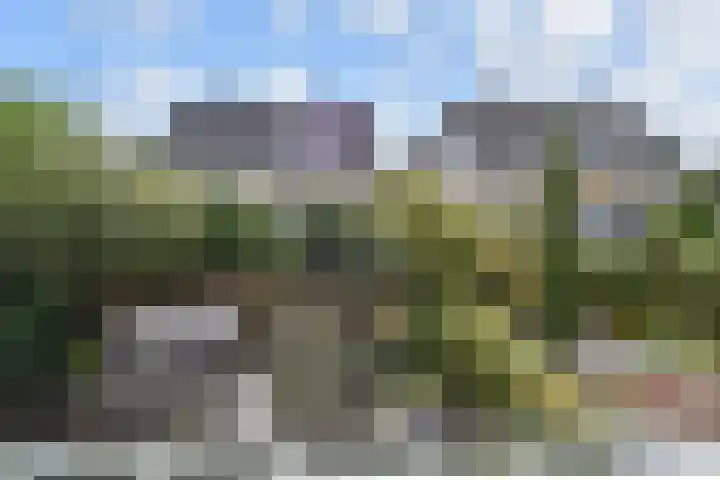 Penningkruid 6 Nootdorp thumbnail 57