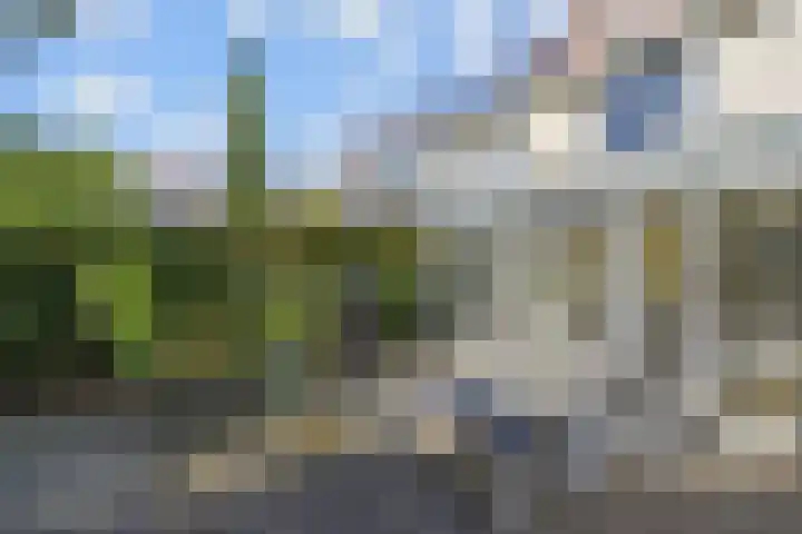 Penningkruid 6 Nootdorp thumbnail 59