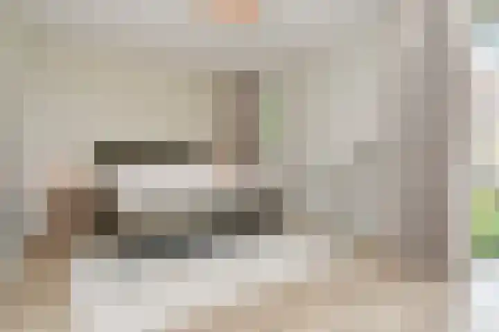 Penningkruid 6 Nootdorp thumbnail 6