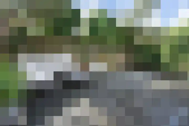 Penningkruid 6 Nootdorp thumbnail 61