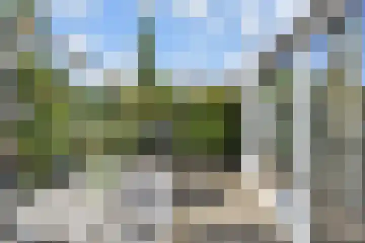 Penningkruid 6 Nootdorp thumbnail 62