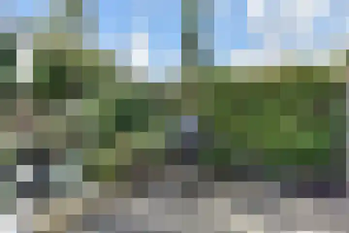 Penningkruid 6 Nootdorp thumbnail 63