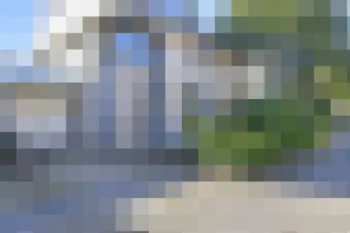 Penningkruid 6 Nootdorp thumbnail 9