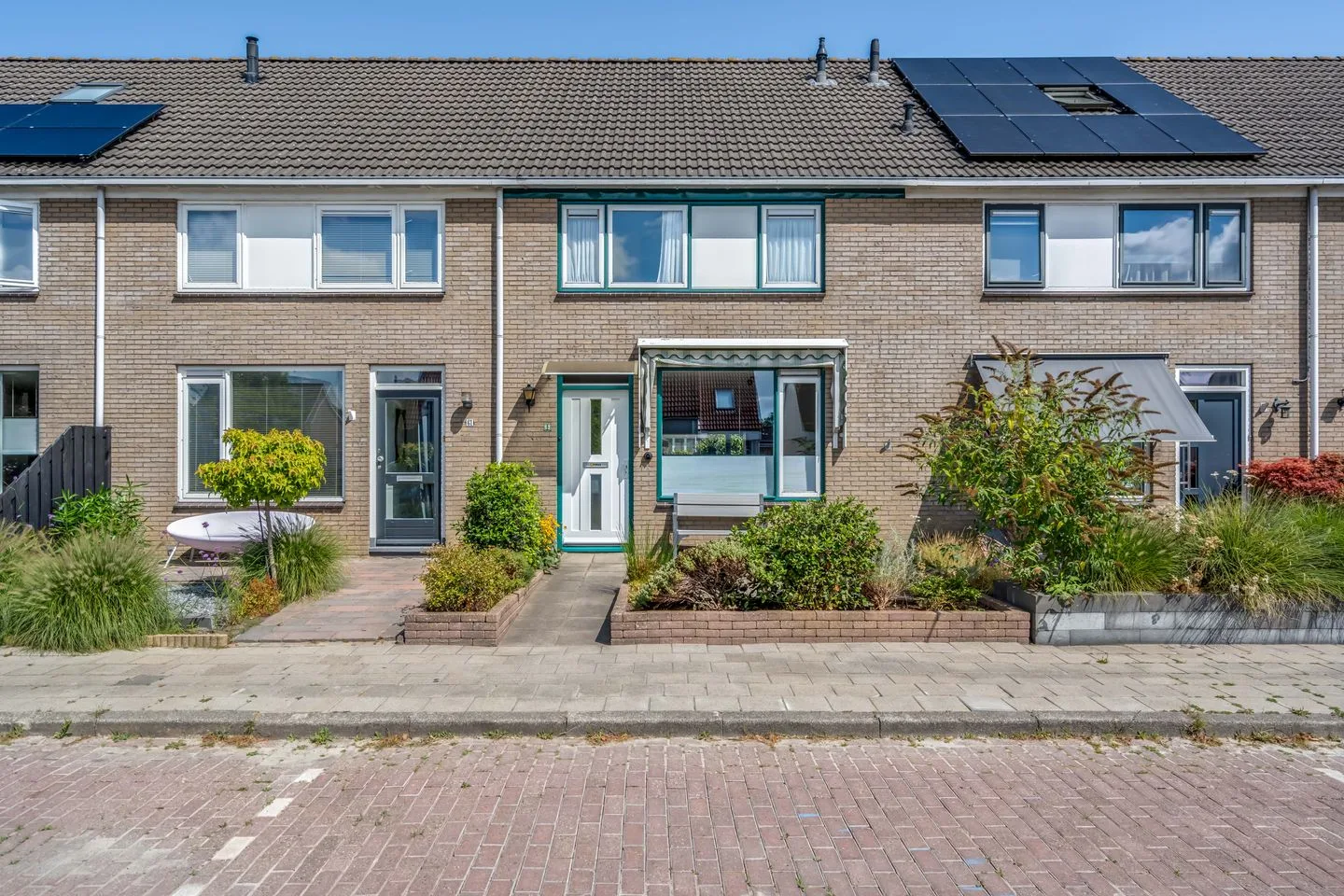Penningkruid 63 in Sneek