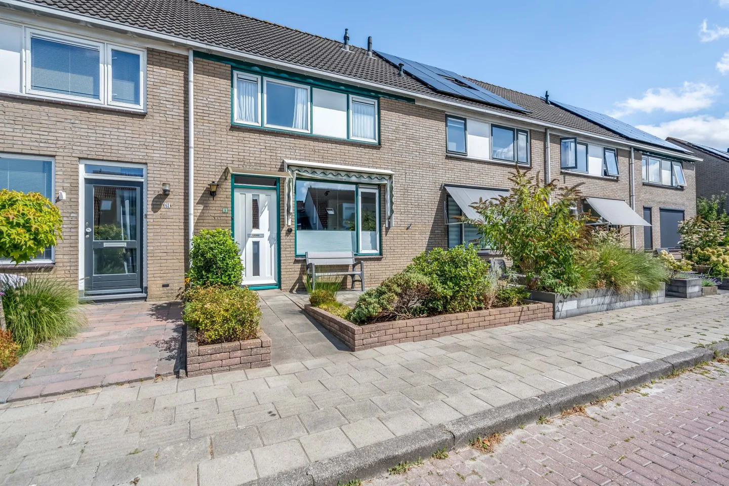 Penningkruid 63 Sneek