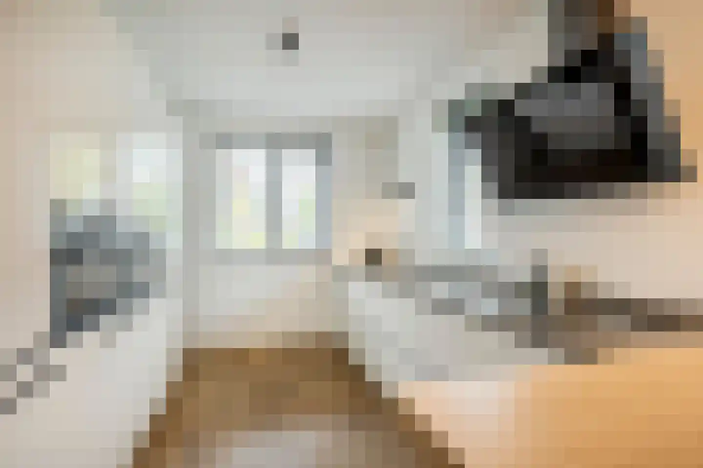 Penningkruid 67 Bodegraven thumbnail 14