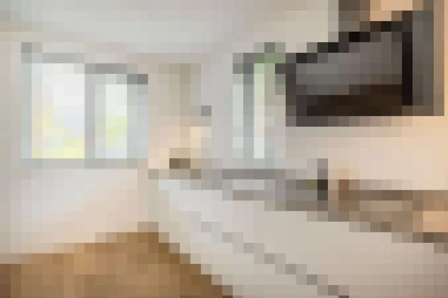 Penningkruid 67 Bodegraven thumbnail 15