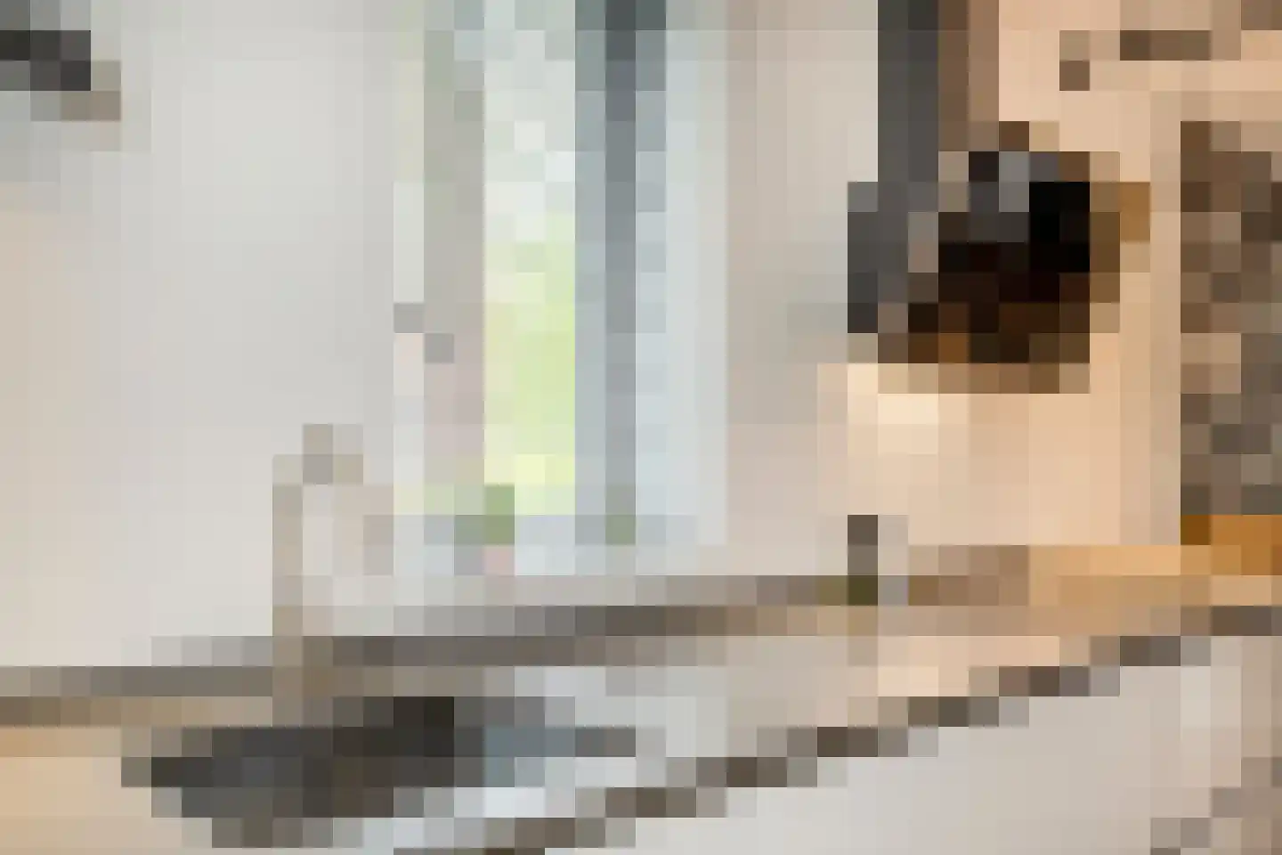 Penningkruid 67 Bodegraven thumbnail 16