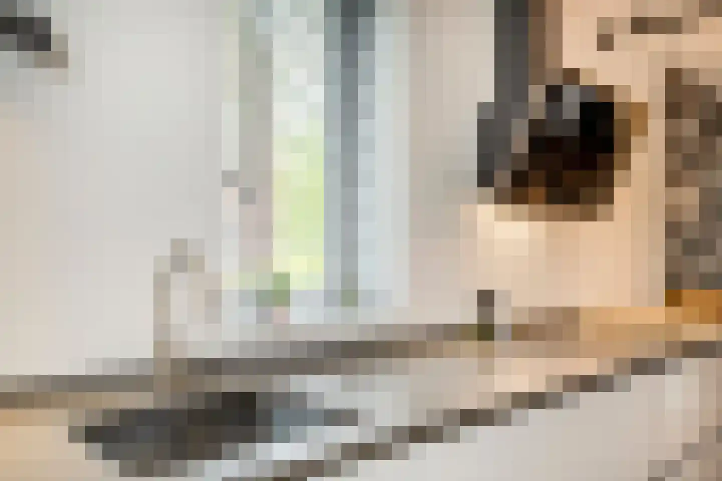 Penningkruid 67 Bodegraven thumbnail 16