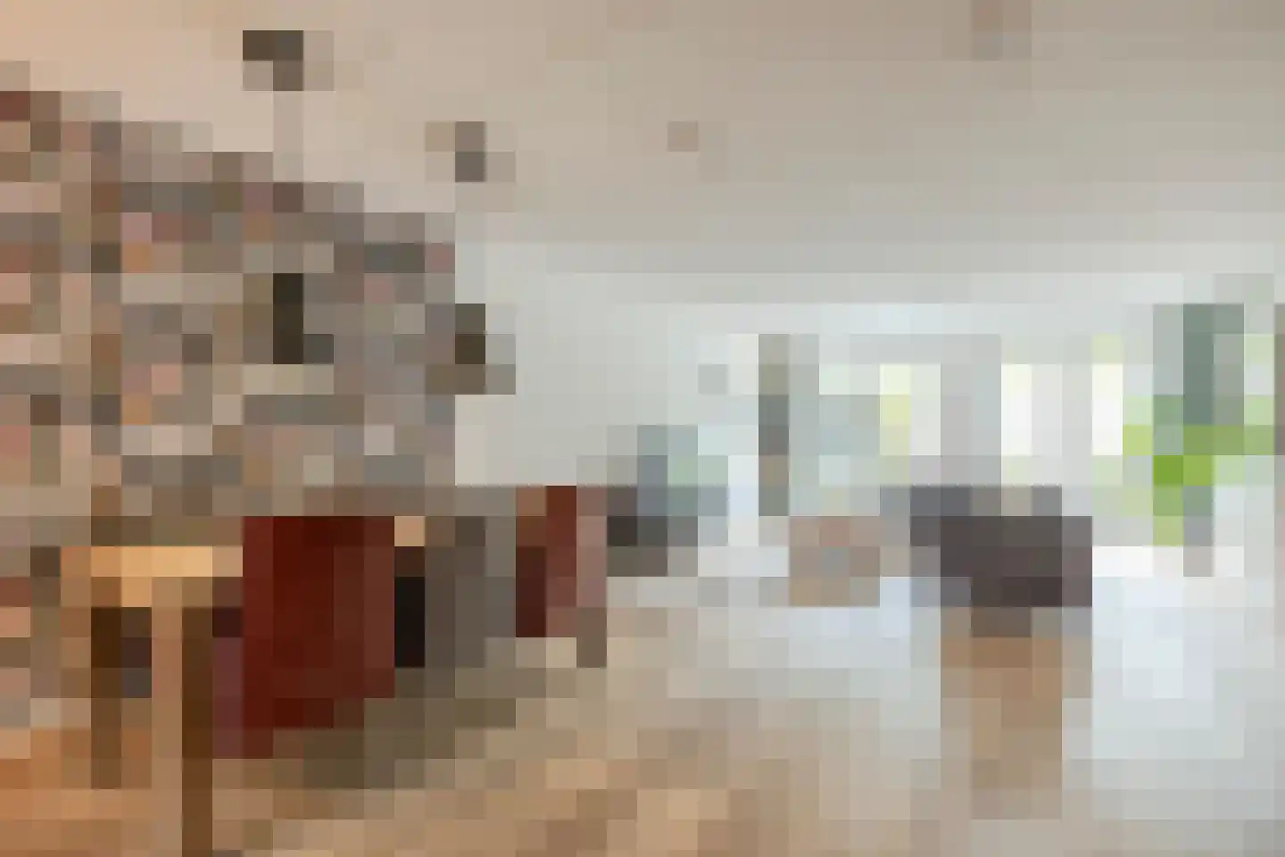 Penningkruid 67 Bodegraven thumbnail 21