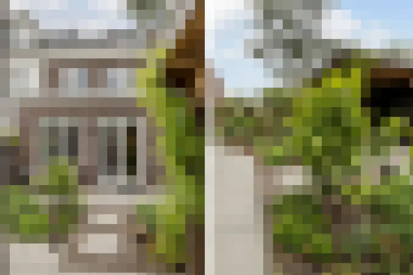 Penningkruid 67 Bodegraven thumbnail 24