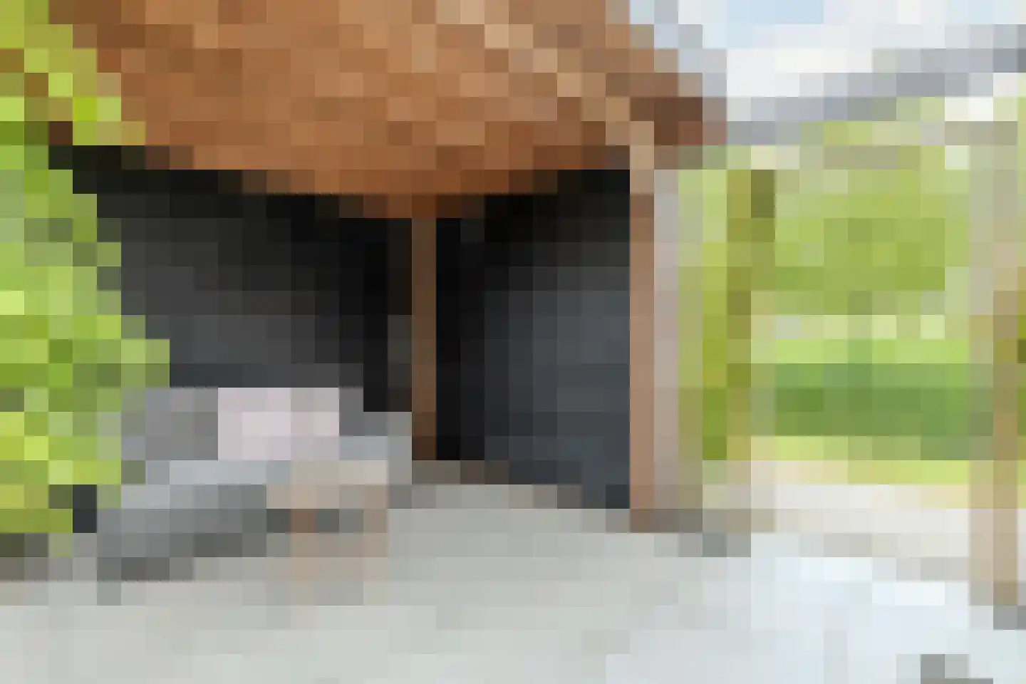 Penningkruid 67 Bodegraven thumbnail 53