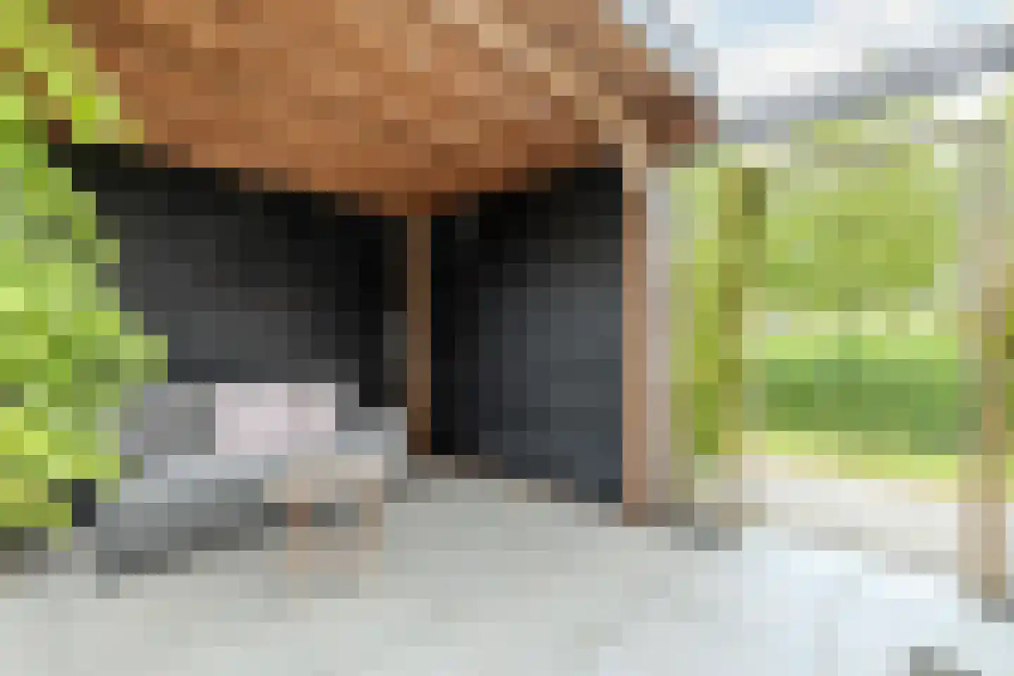 Penningkruid 67 Bodegraven thumbnail 53