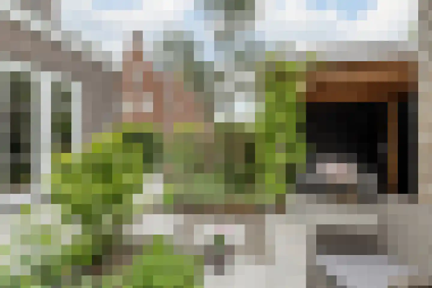 Penningkruid 67 Bodegraven thumbnail 54