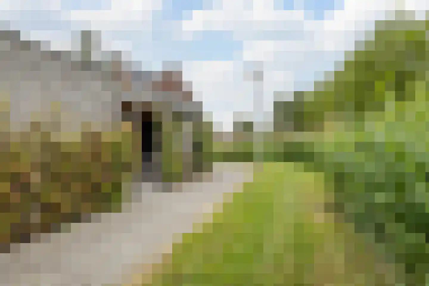 Penningkruid 67 Bodegraven thumbnail 56