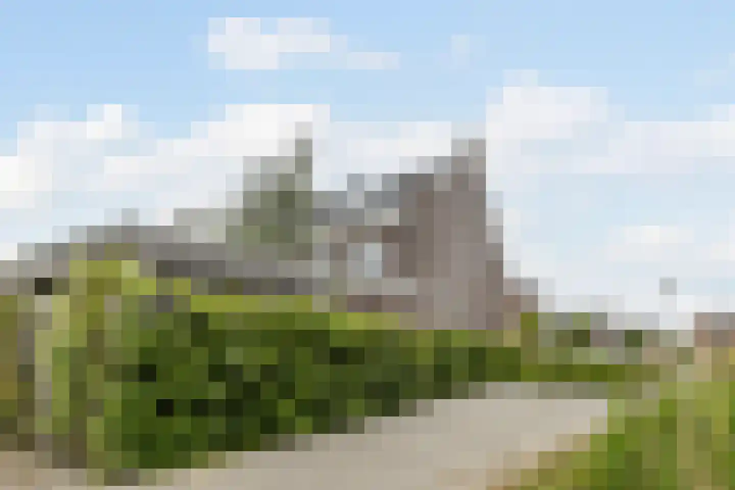 Penningkruid 67 Bodegraven thumbnail 57