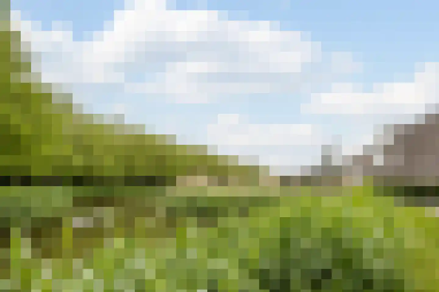 Penningkruid 67 Bodegraven thumbnail 58