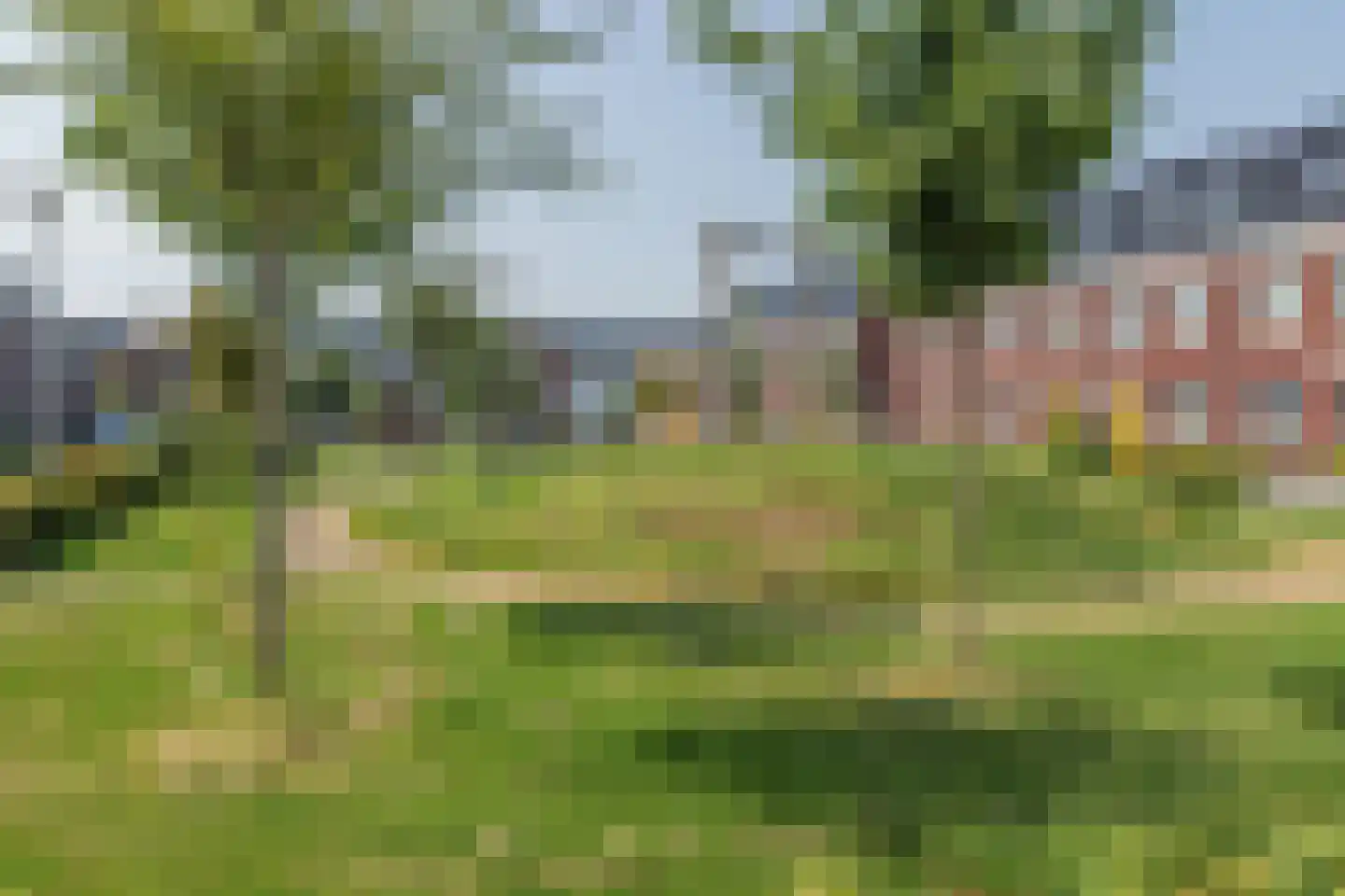 Penningkruid 67 Bodegraven thumbnail 63
