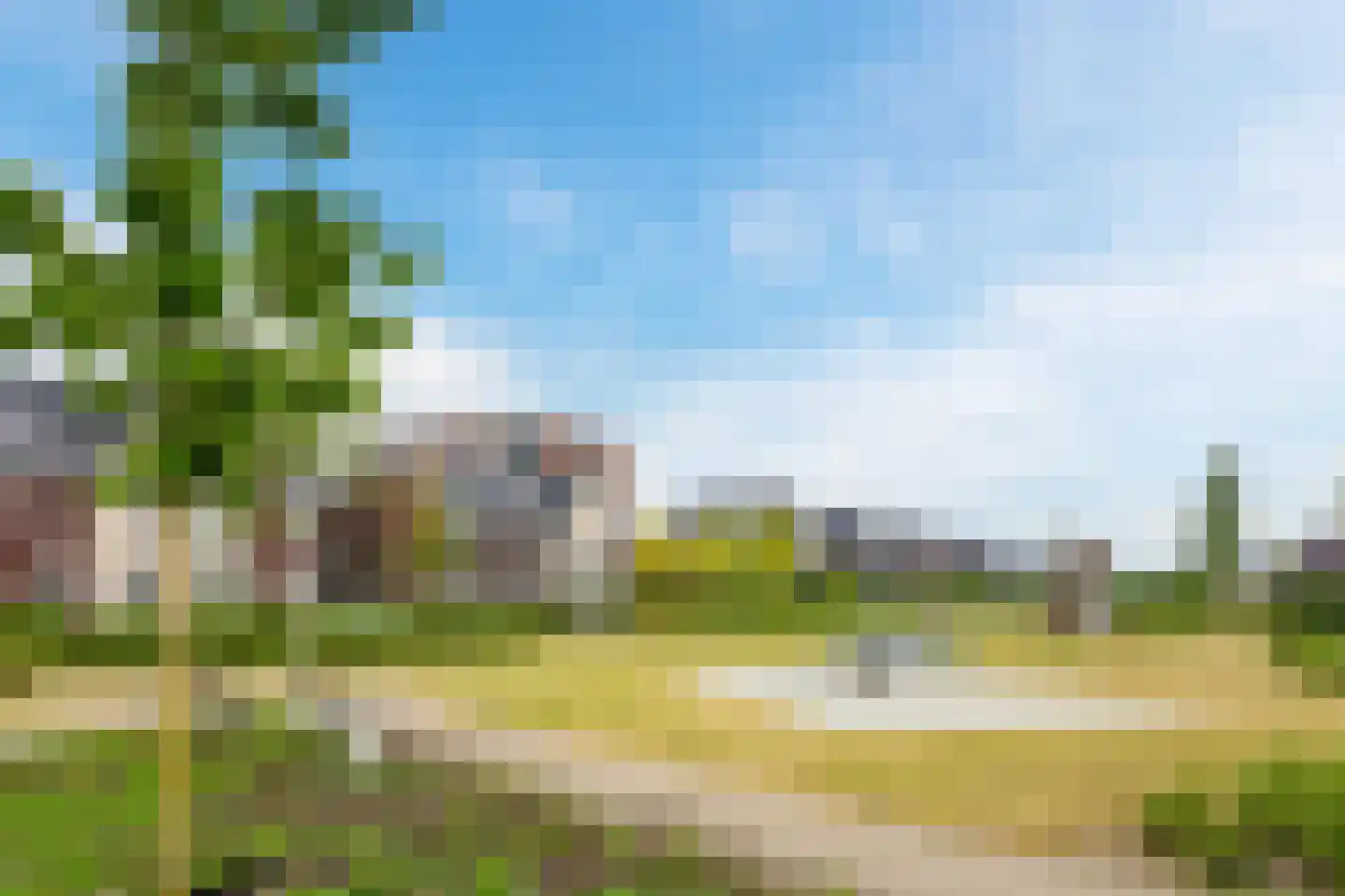 Penningkruid 67 Bodegraven thumbnail 64
