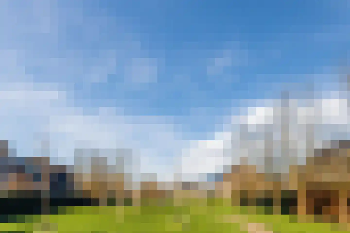 Penningkruid 67 Bodegraven thumbnail 65