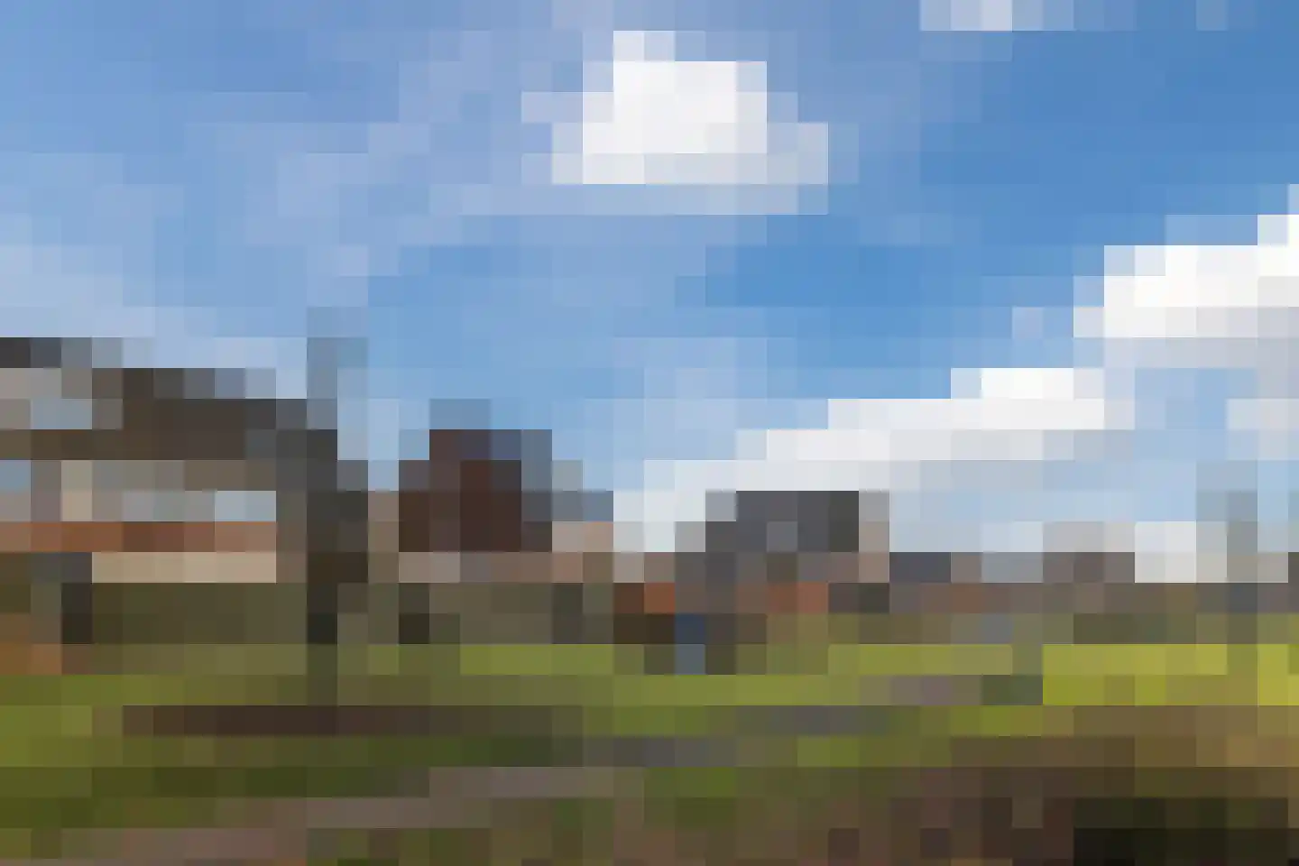 Penningkruid 67 Bodegraven thumbnail 66