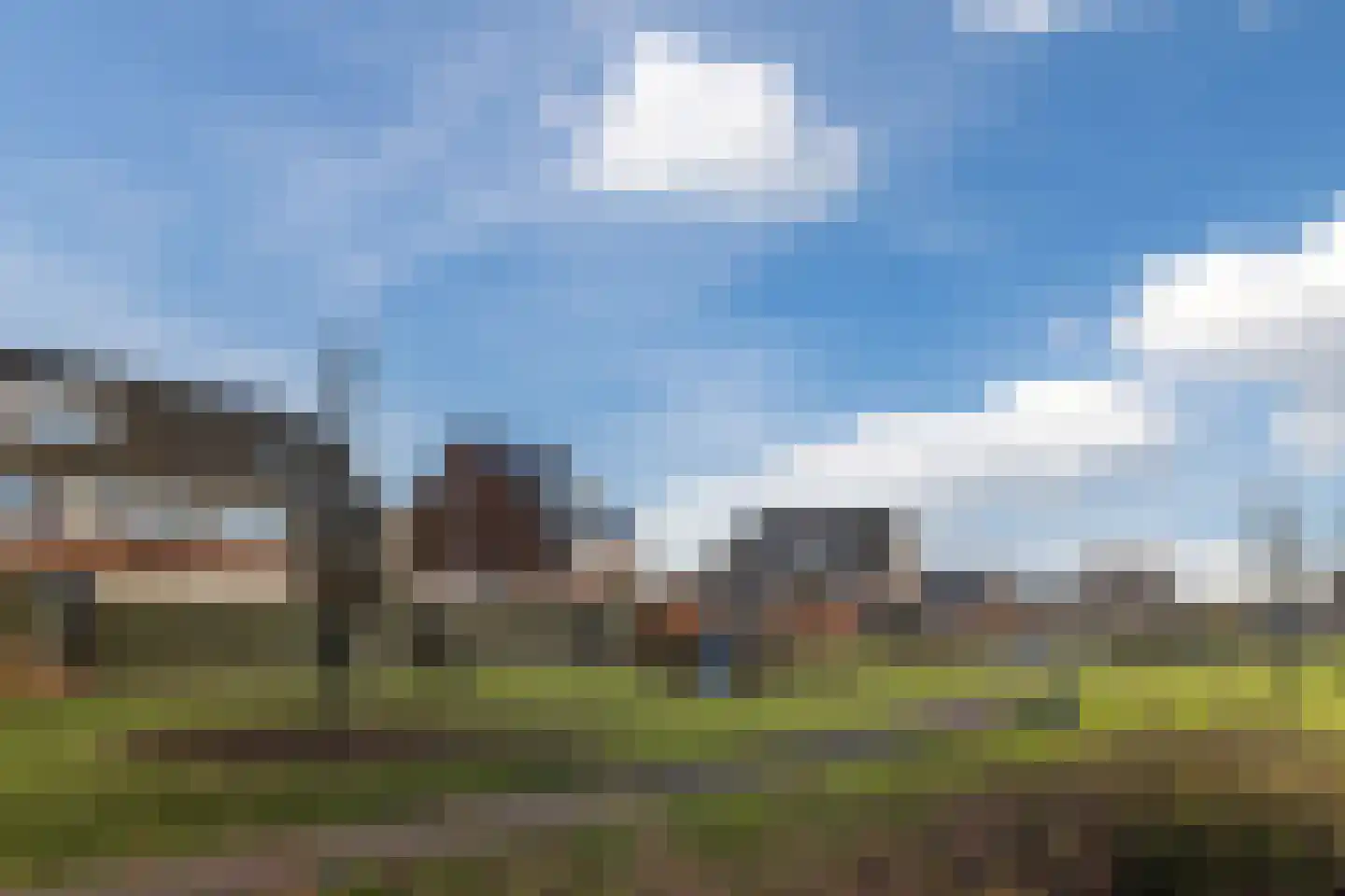Penningkruid 67 Bodegraven thumbnail 66