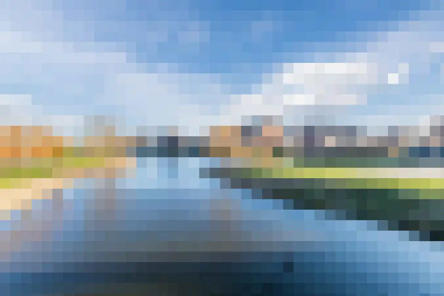 Penningkruid 67 Bodegraven thumbnail 68