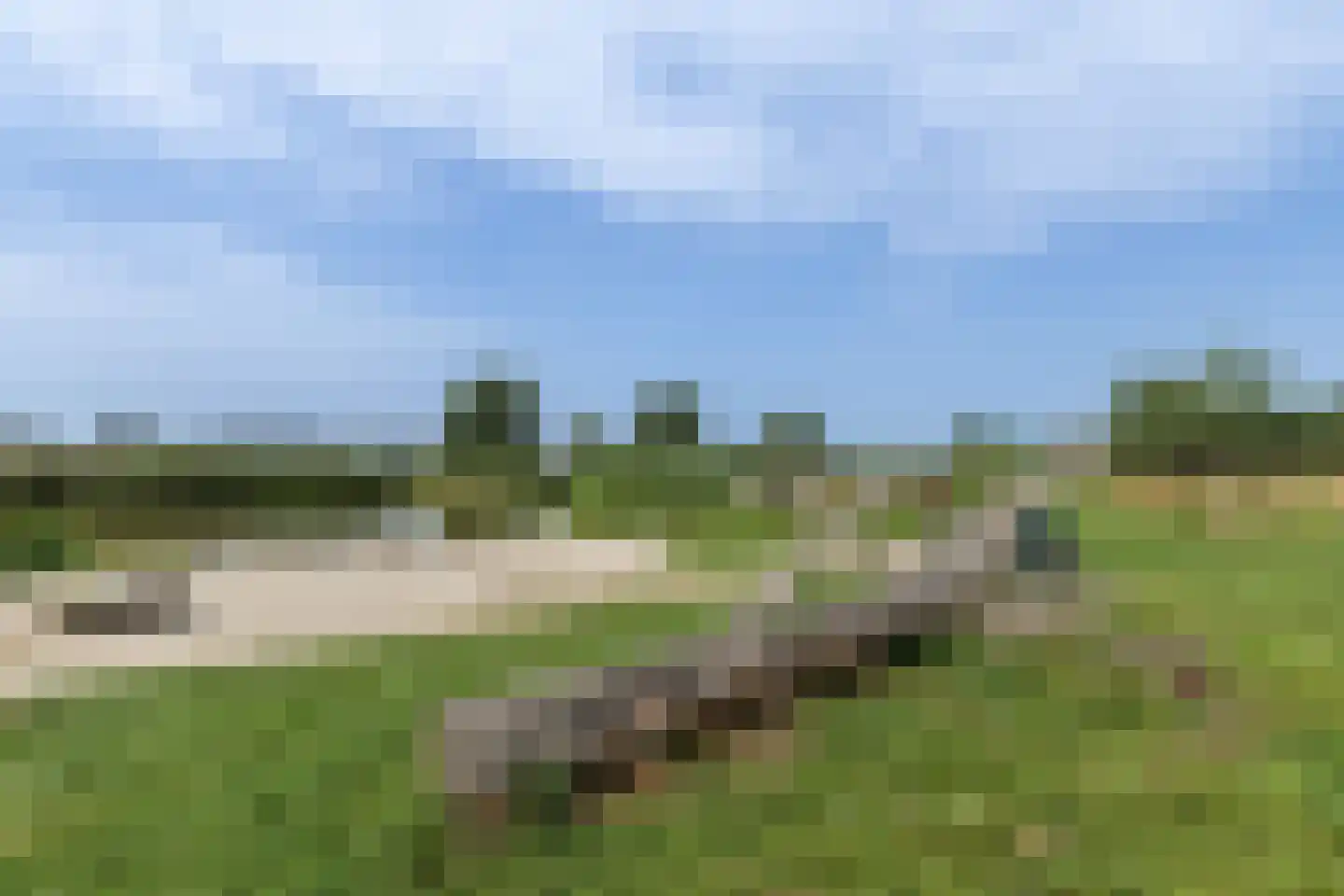 Penningkruid 67 Bodegraven thumbnail 69