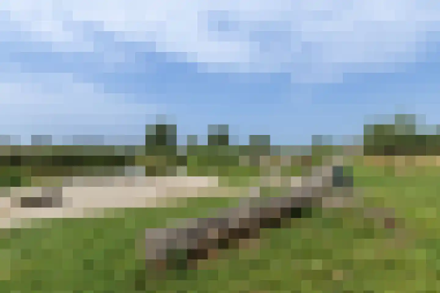 Penningkruid 67 Bodegraven thumbnail 69