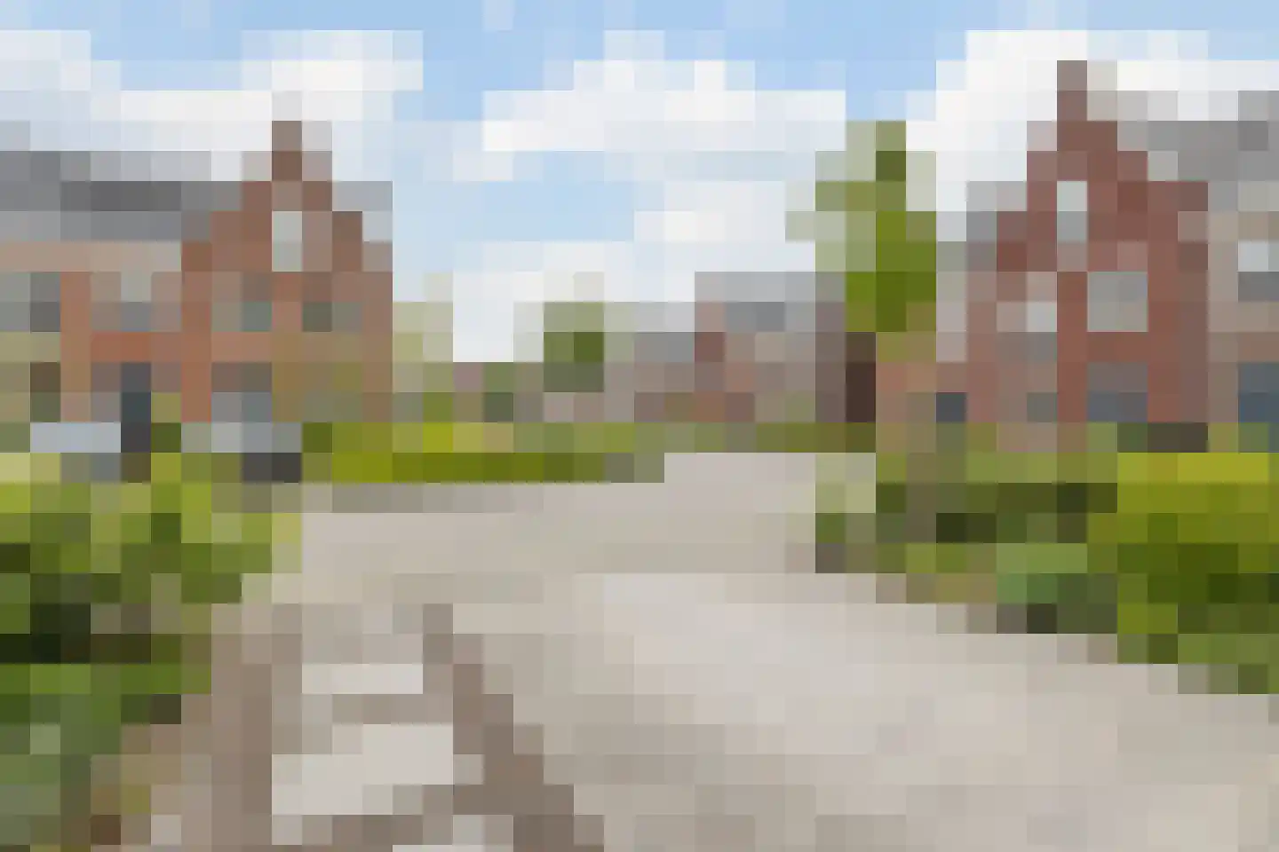 Penningkruid 67 Bodegraven thumbnail 7