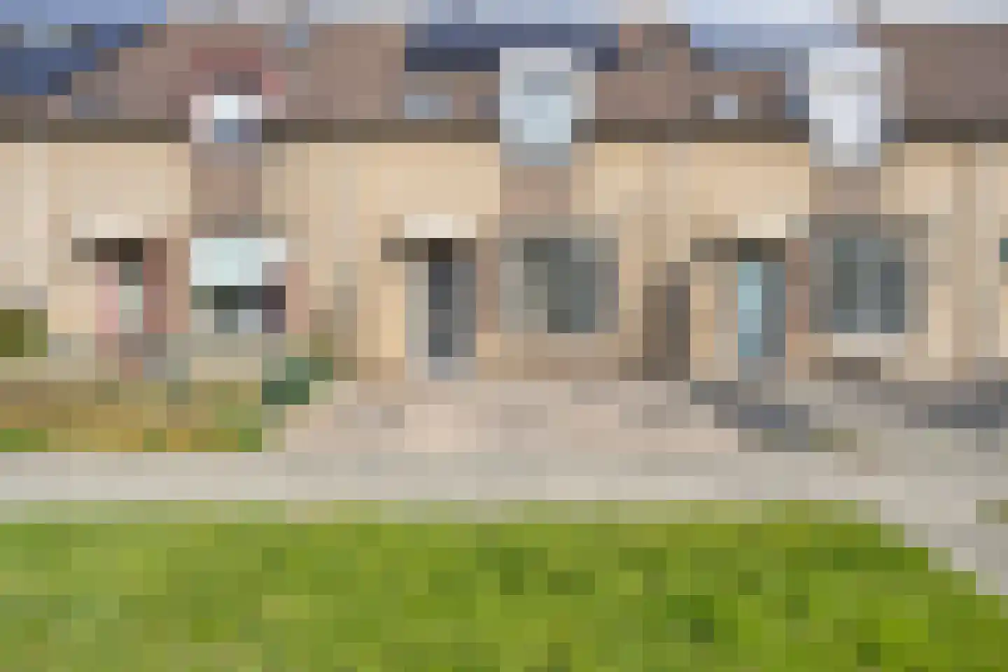 Penningkruid 7 Sneek