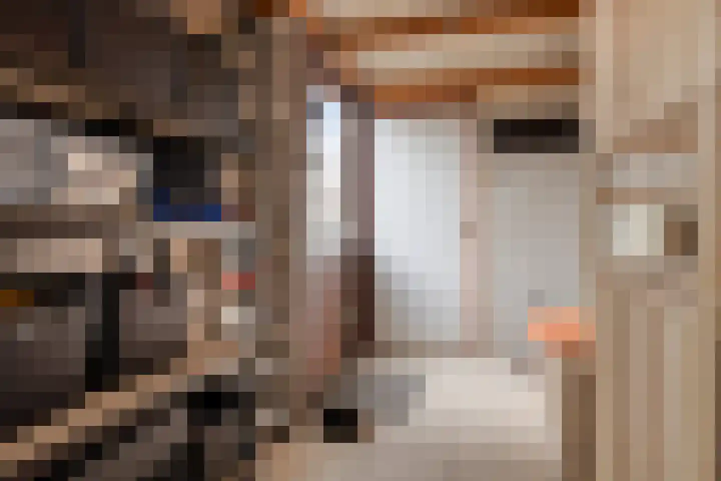 Penningkruid 7 Sneek thumbnail 11