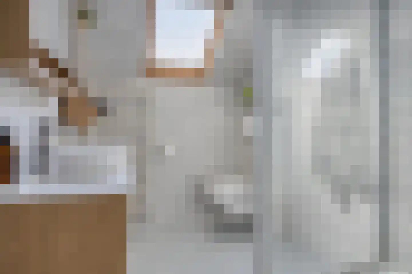 Penningkruid 7 Sneek thumbnail 14