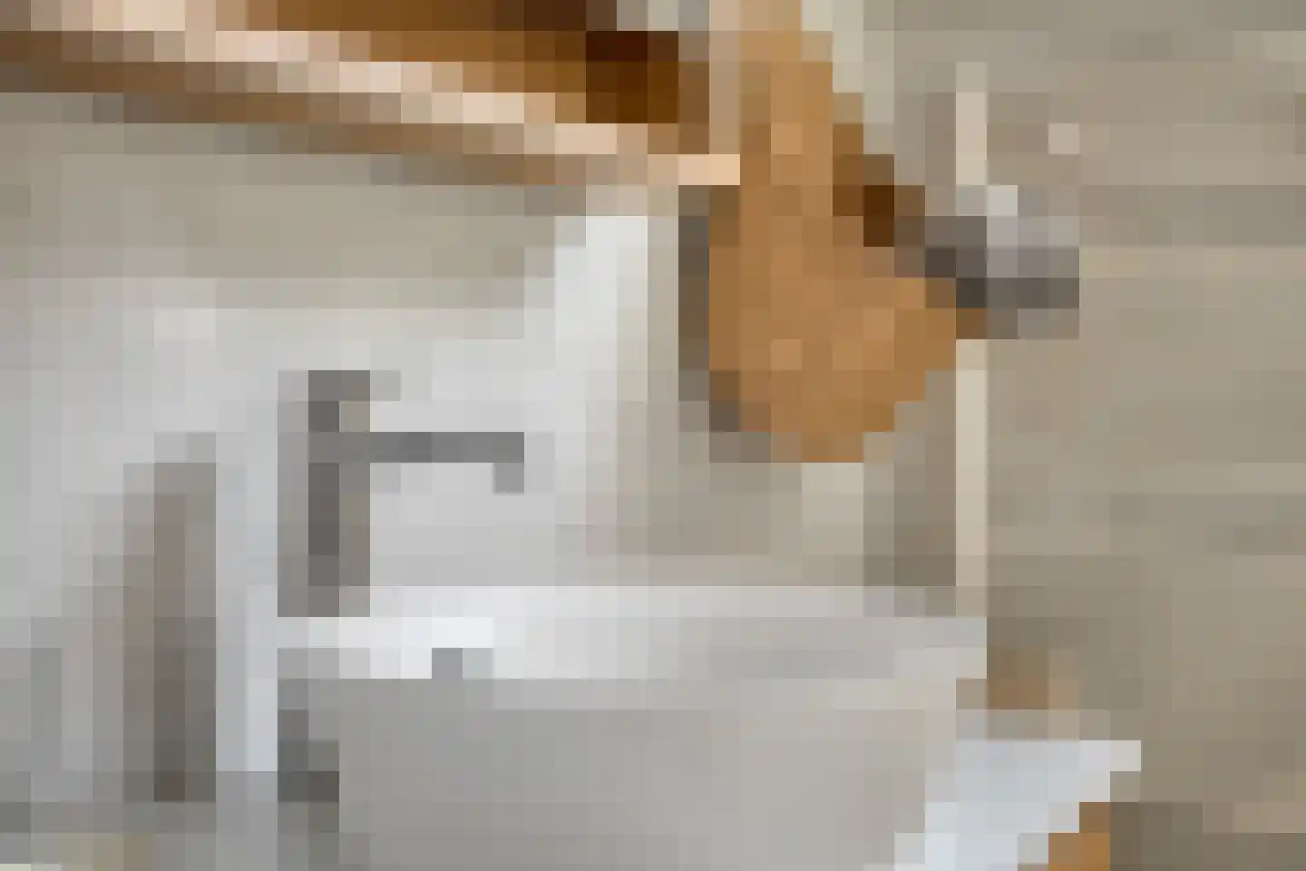 Penningkruid 7 Sneek thumbnail 18
