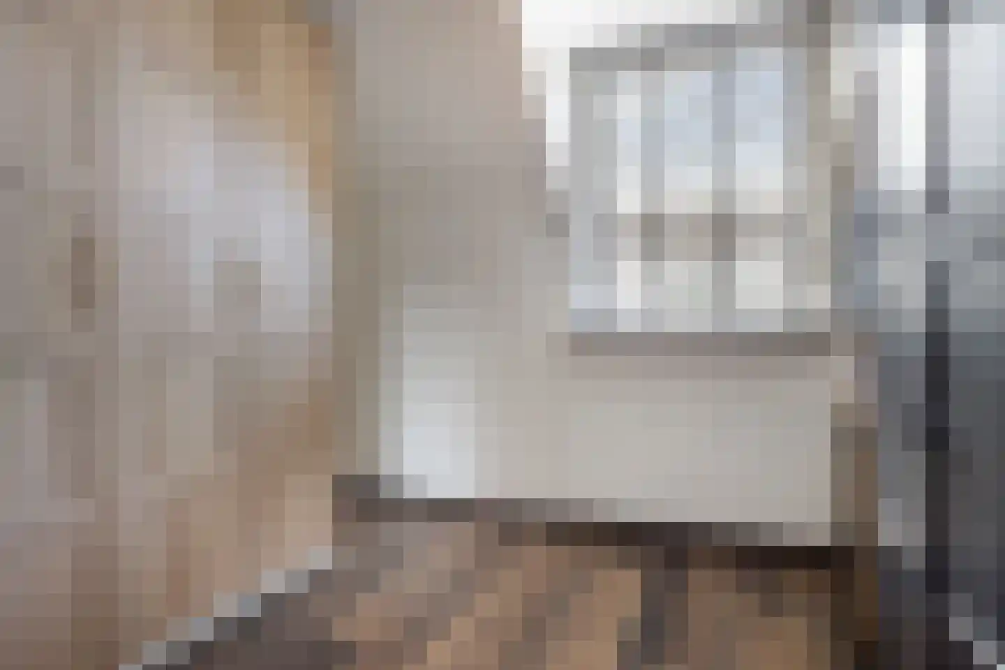 Penningkruid 7 Sneek thumbnail 20