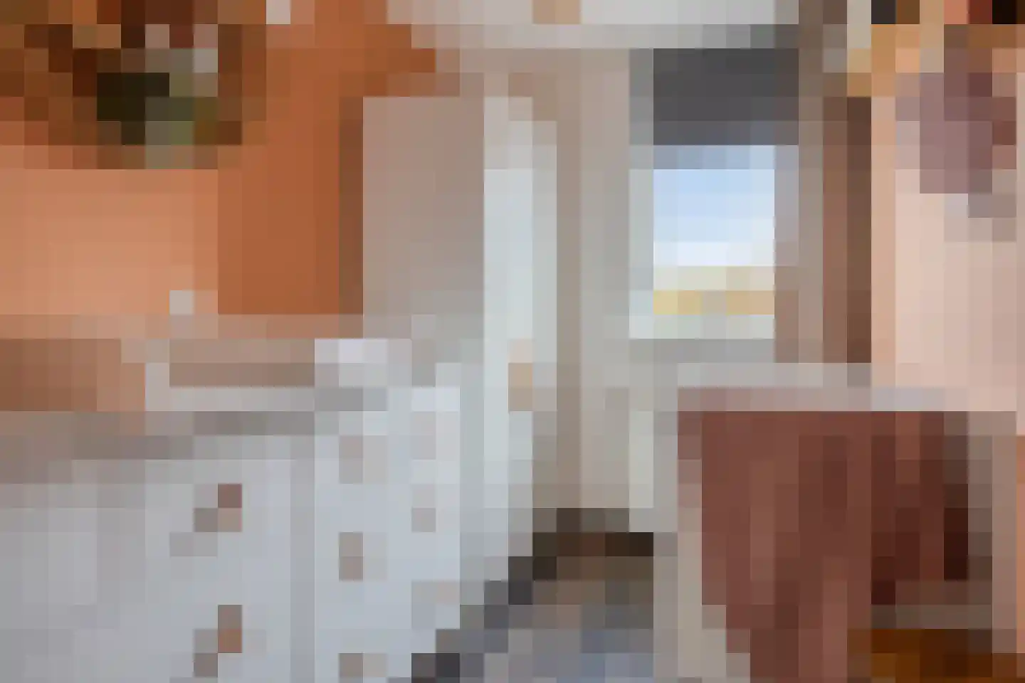 Penningkruid 7 Sneek thumbnail 21