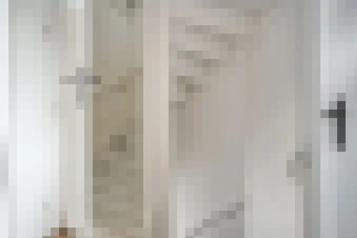 Penningkruid 7 Sneek thumbnail 24